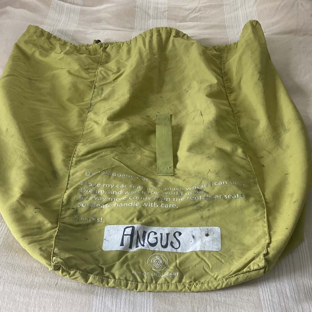 Prince Lionhearted Car seat Bag